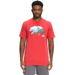 THE NORTH FACE Men's Bear Short-Sleeve Tee