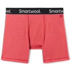 SMARTWOOL Men's Boxer Brief Boxed