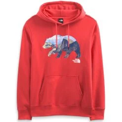 THE NORTH FACE Men's Bear Pullover Hoodie -trucker hat shop 2086553 601 alt2